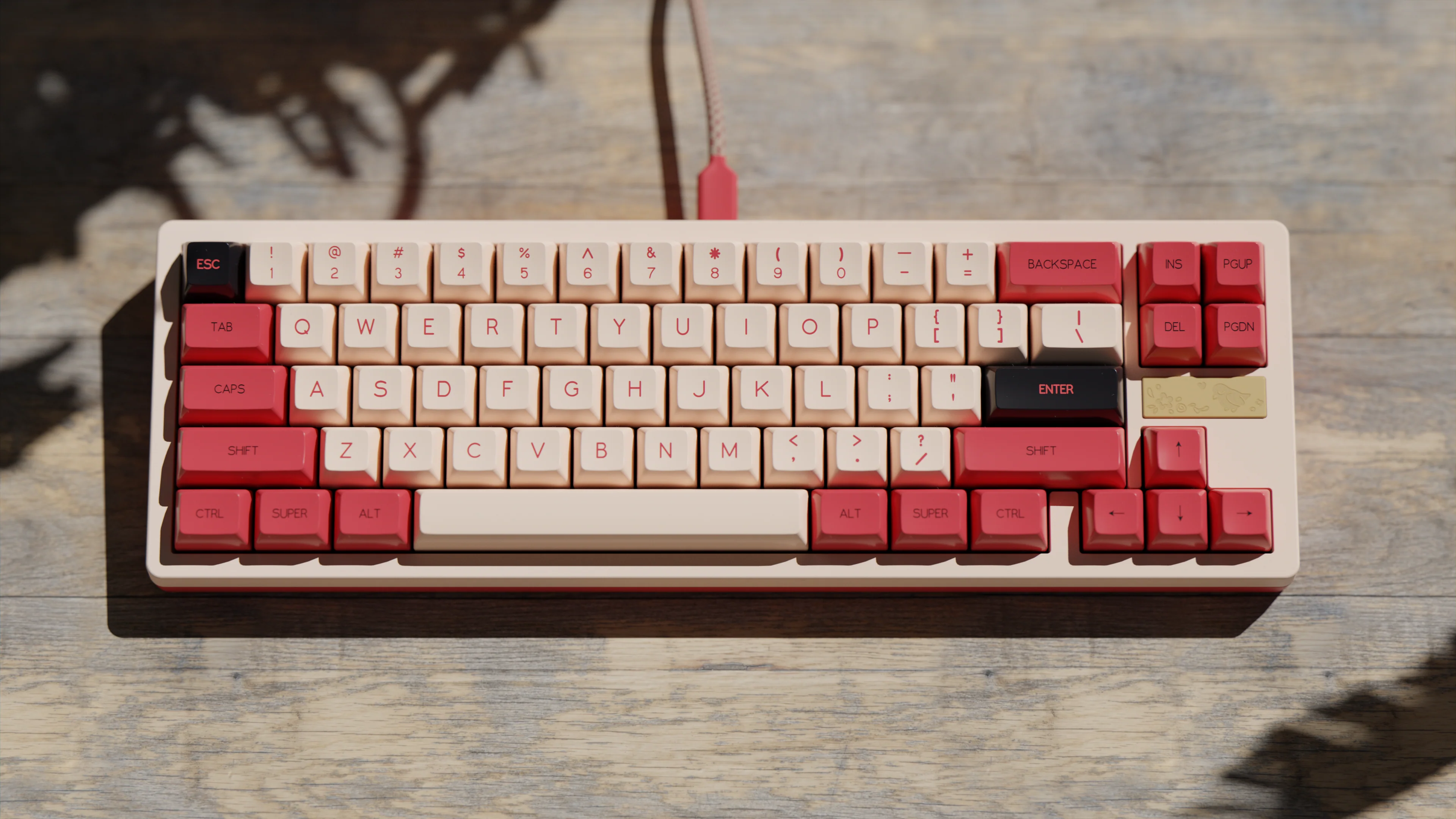 [In Stock] SP SA Fledgling - Image 11