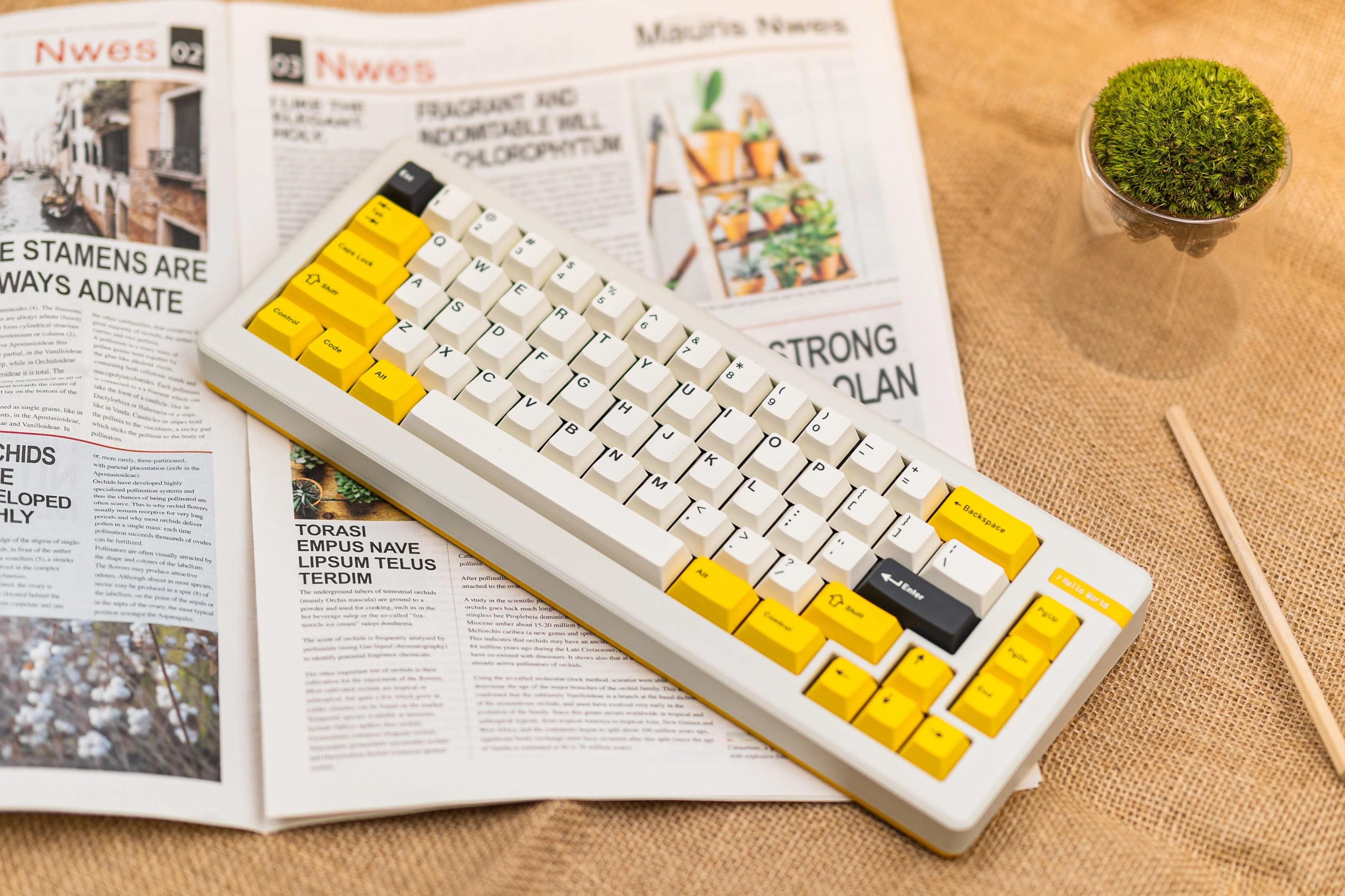 [In Stock] Coder 66 by DeskTop Lab - Image 15