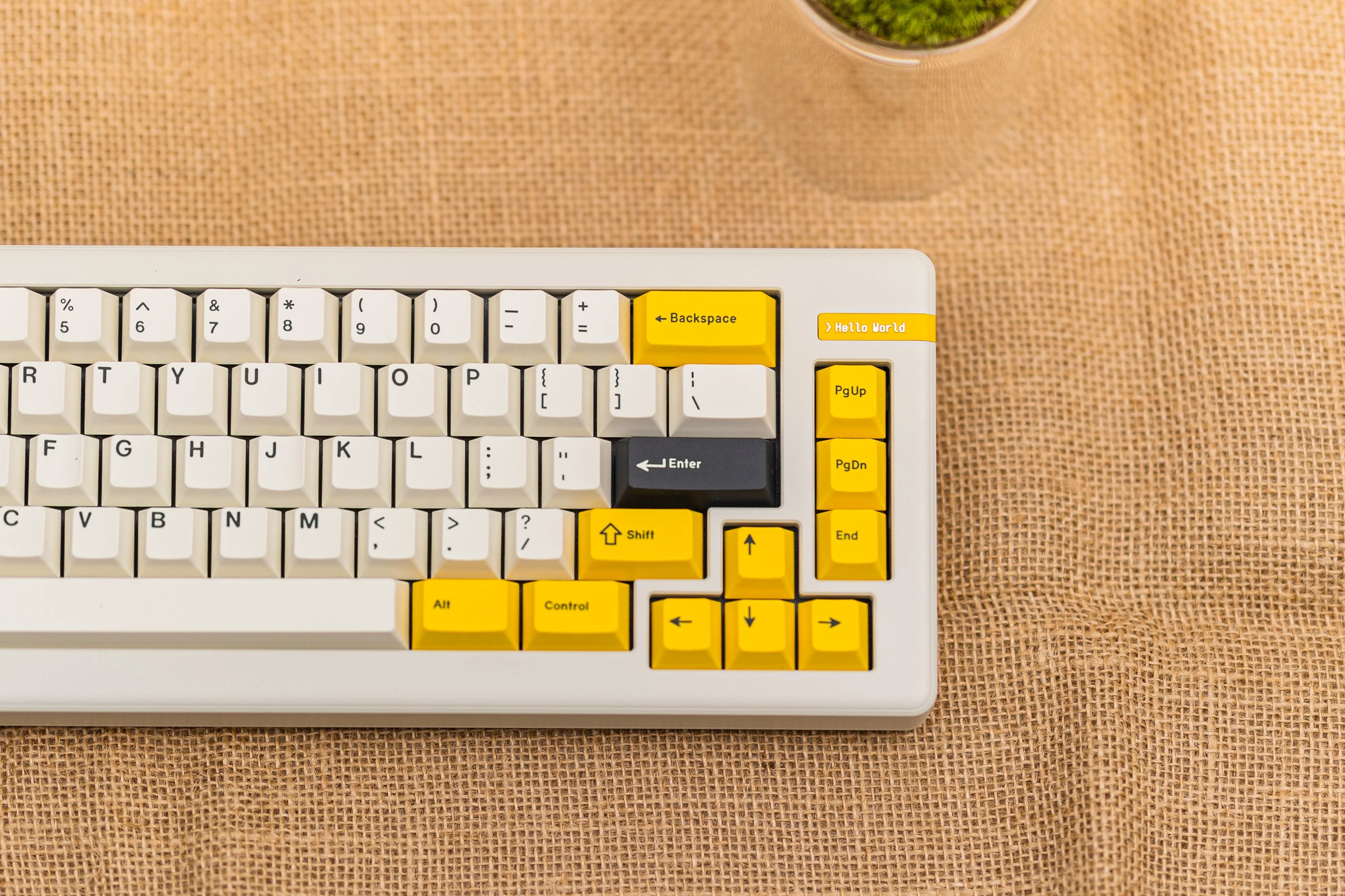 [In Stock] Coder 66 by DeskTop Lab - Image 17