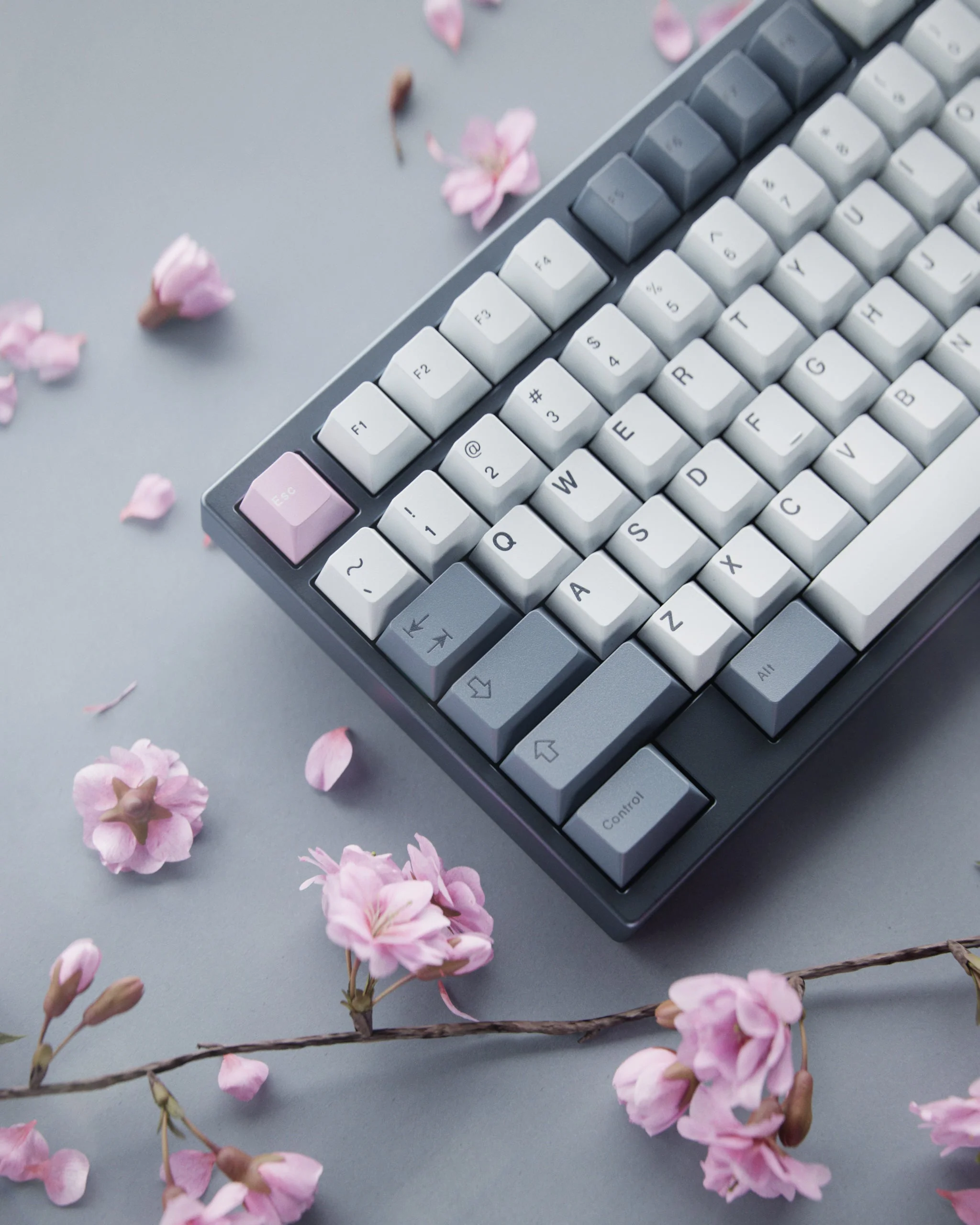 [In Stock] GMK Fuji - Image 3