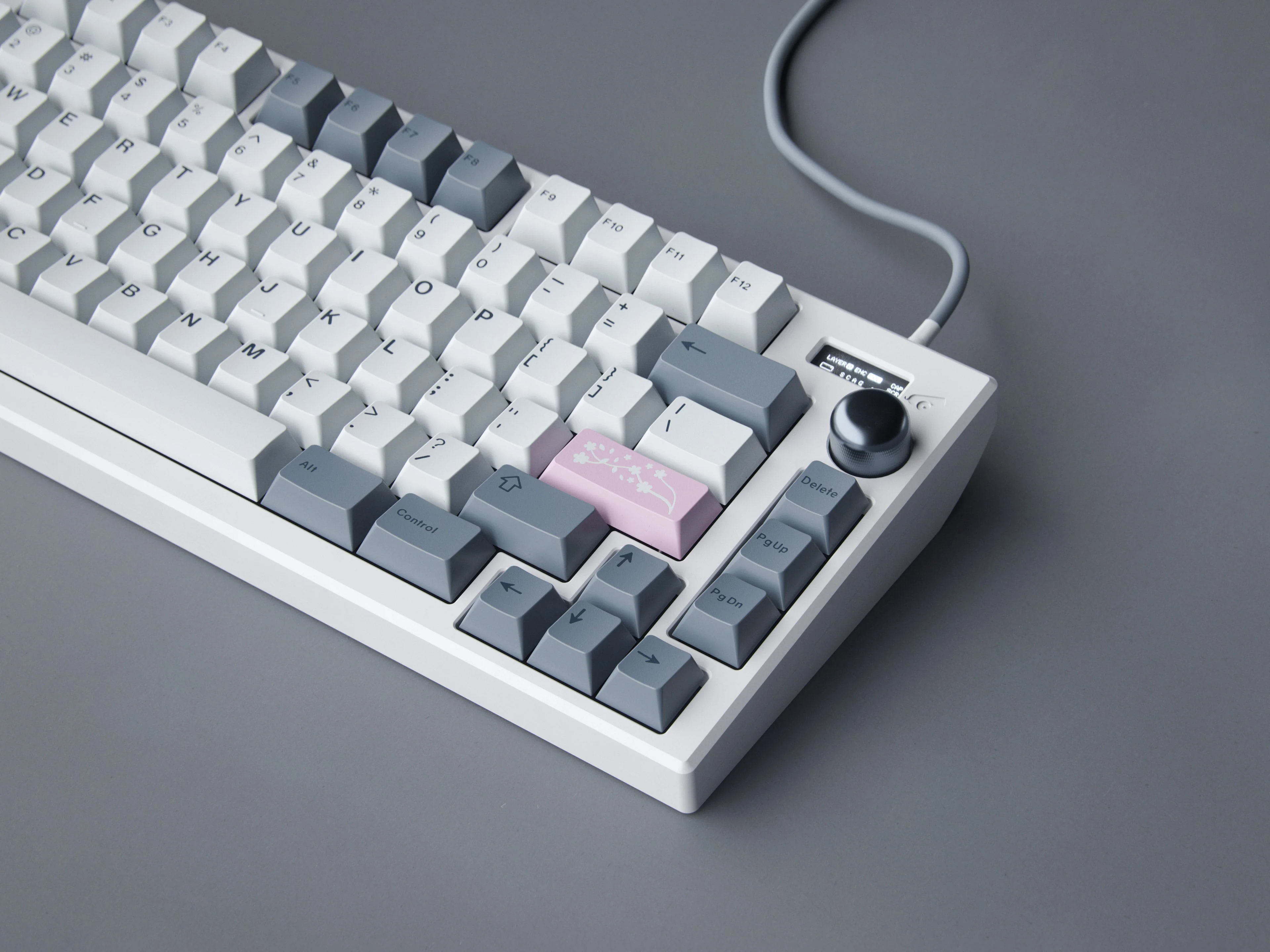 [In Stock] GMK Fuji - Image 8