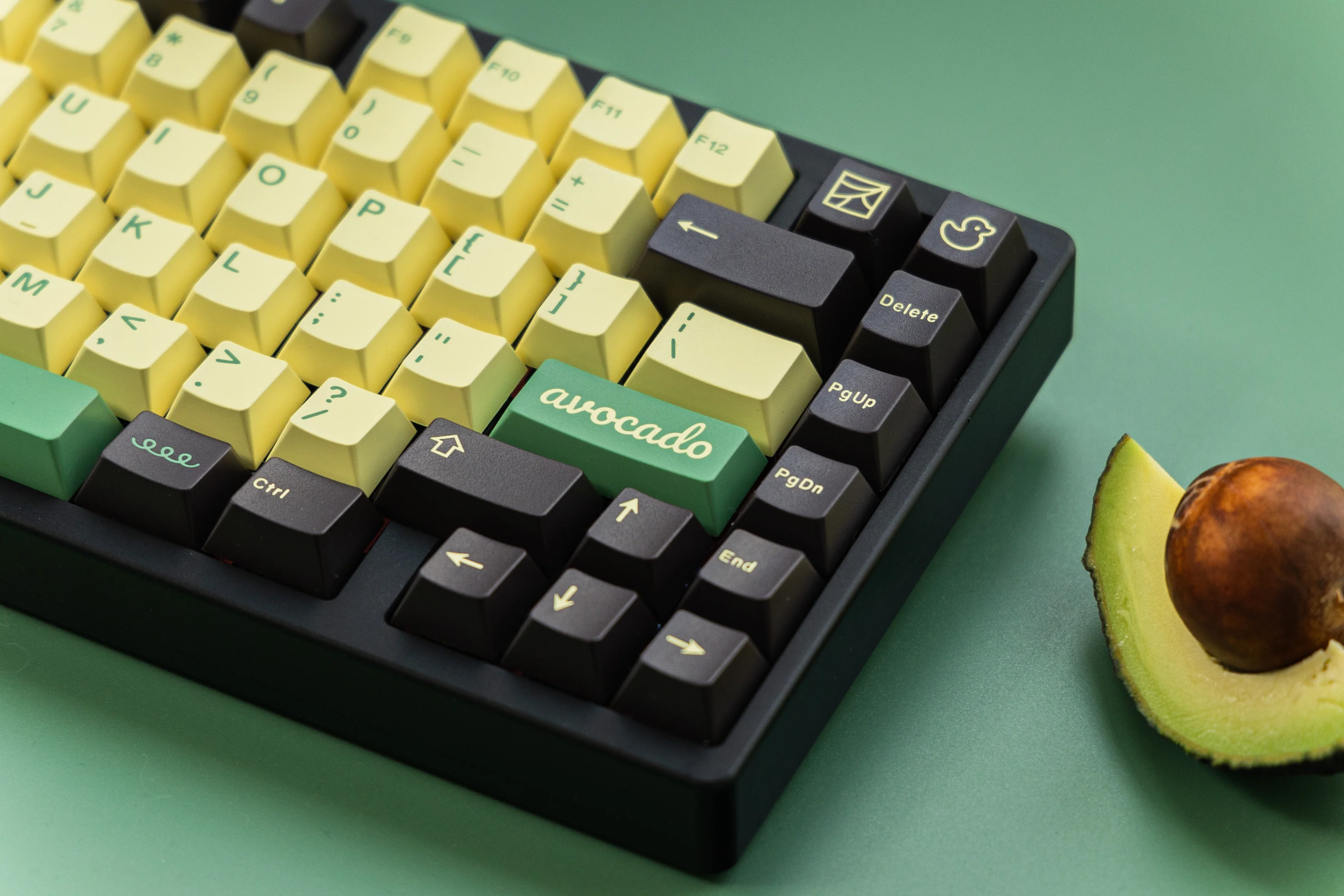 [In Stock] JTK Avocado - Image 11