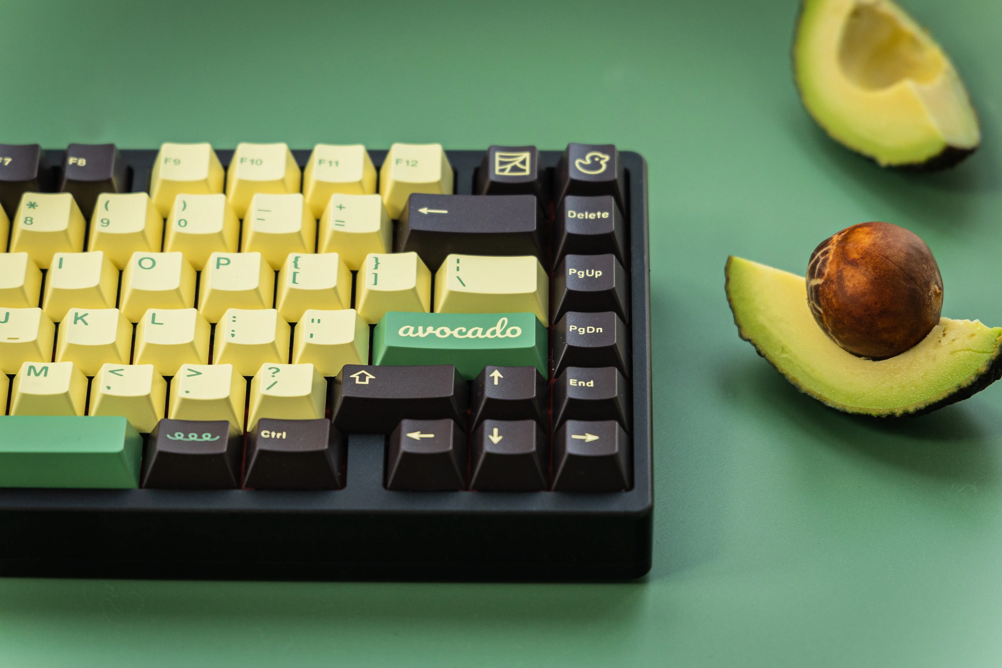 [In Stock] JTK Avocado - Image 7