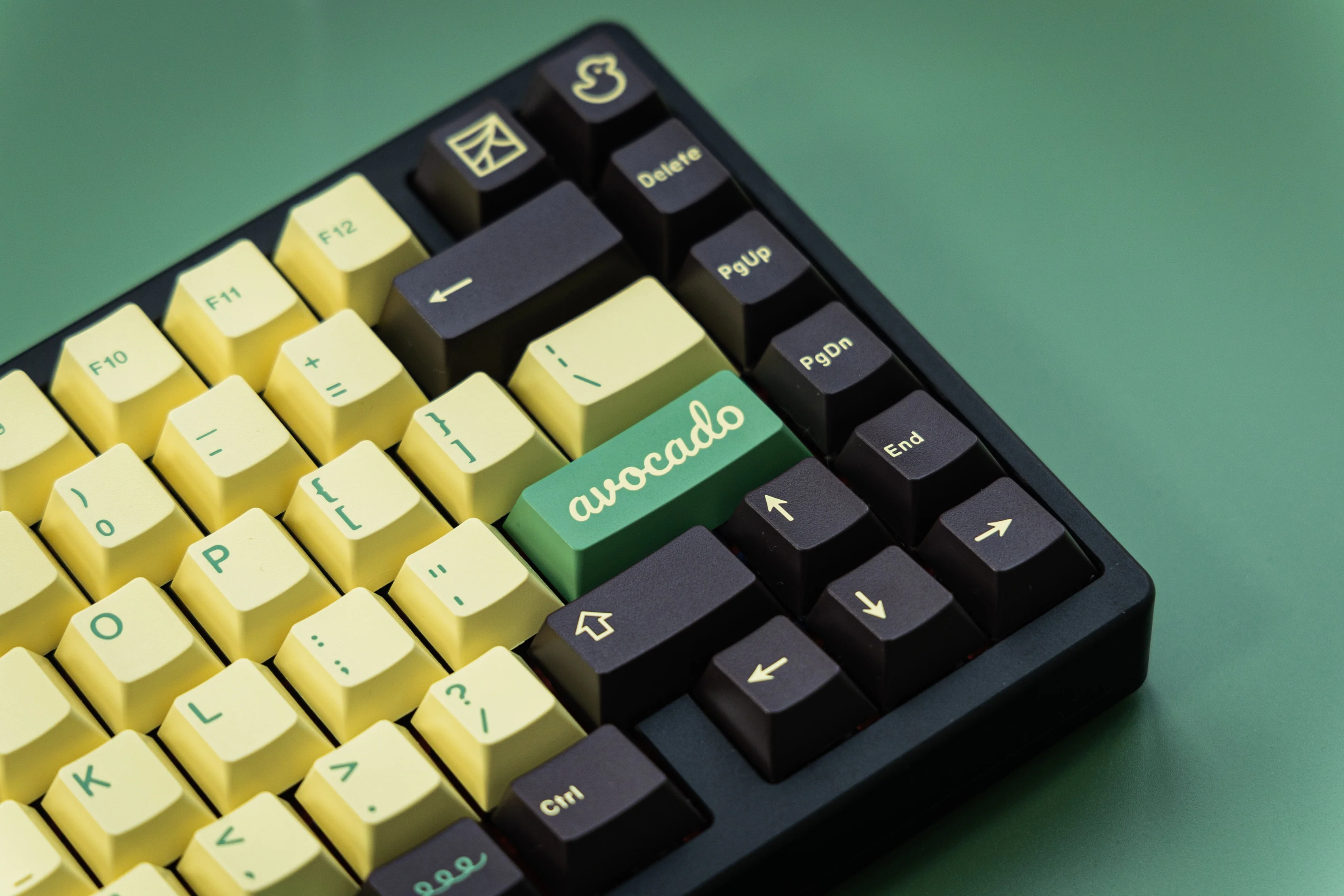[In Stock] JTK Avocado - Image 9