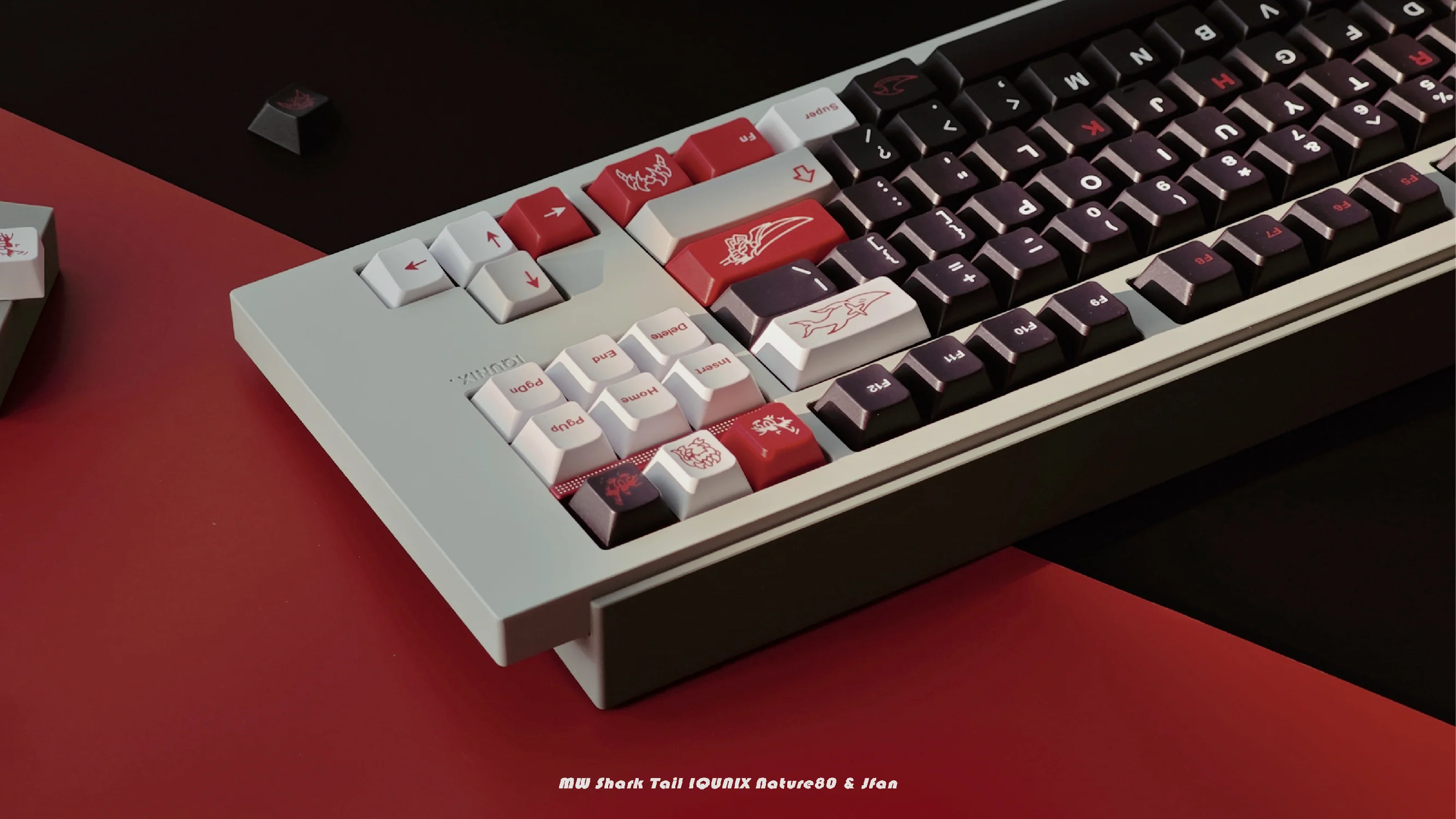 [In Stock] MW Shark Tail - Image 6