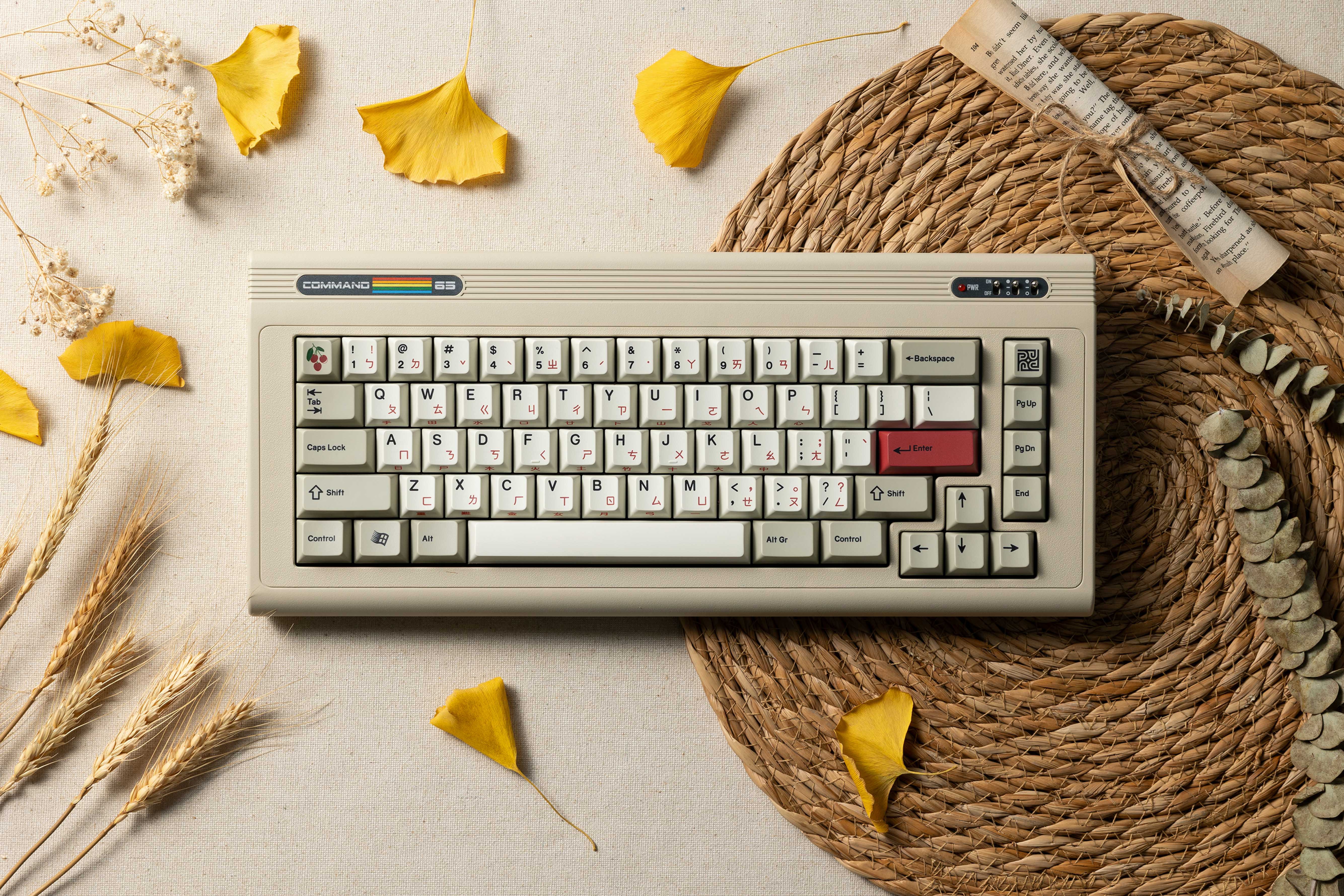[In Stock] PK x BIOI Command 65 R2 Vintage Custom Mechanical Keyboard Kit - Image 11