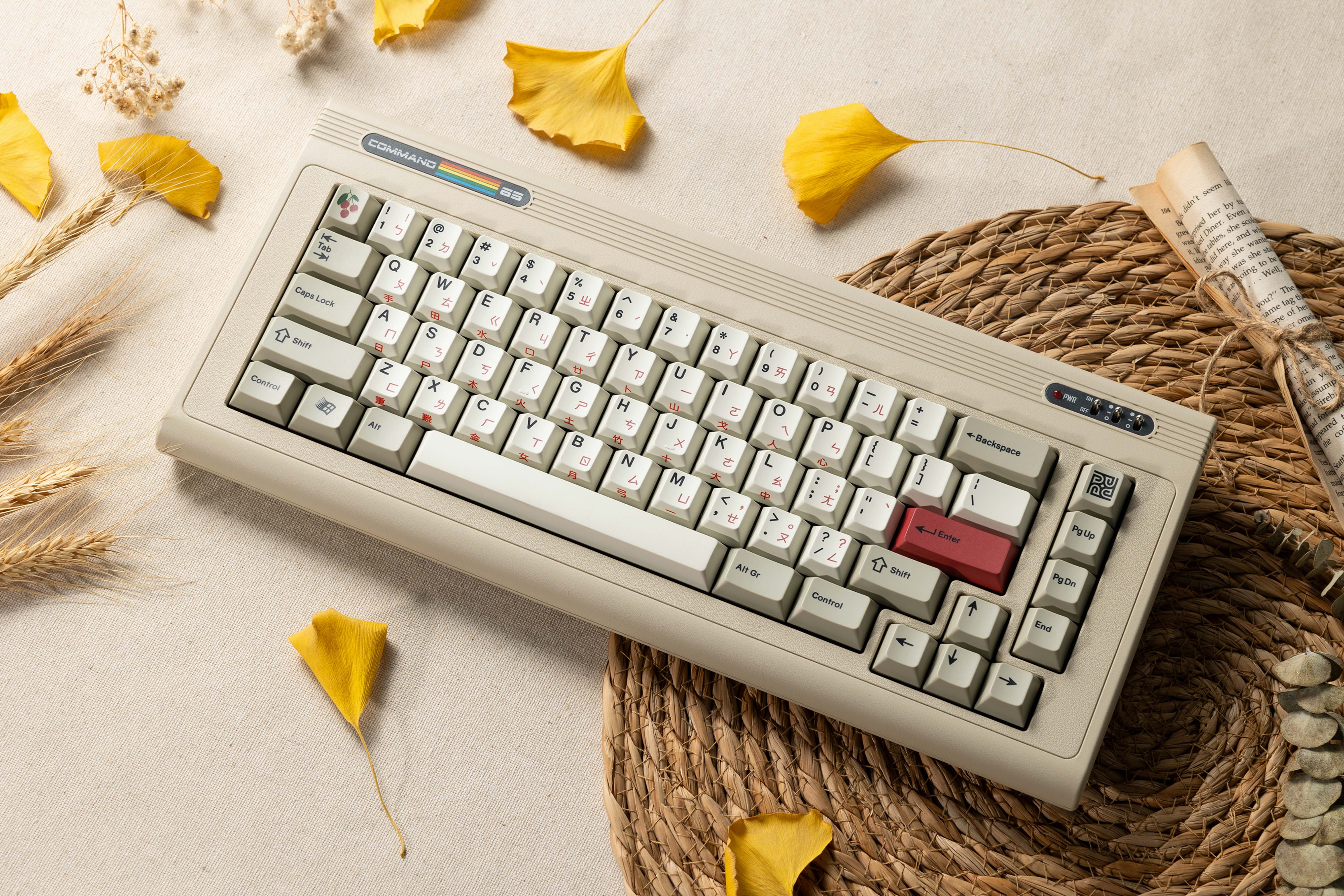 [In Stock] PK x BIOI Command 65 R2 Vintage Custom Mechanical Keyboard Kit - Image 15