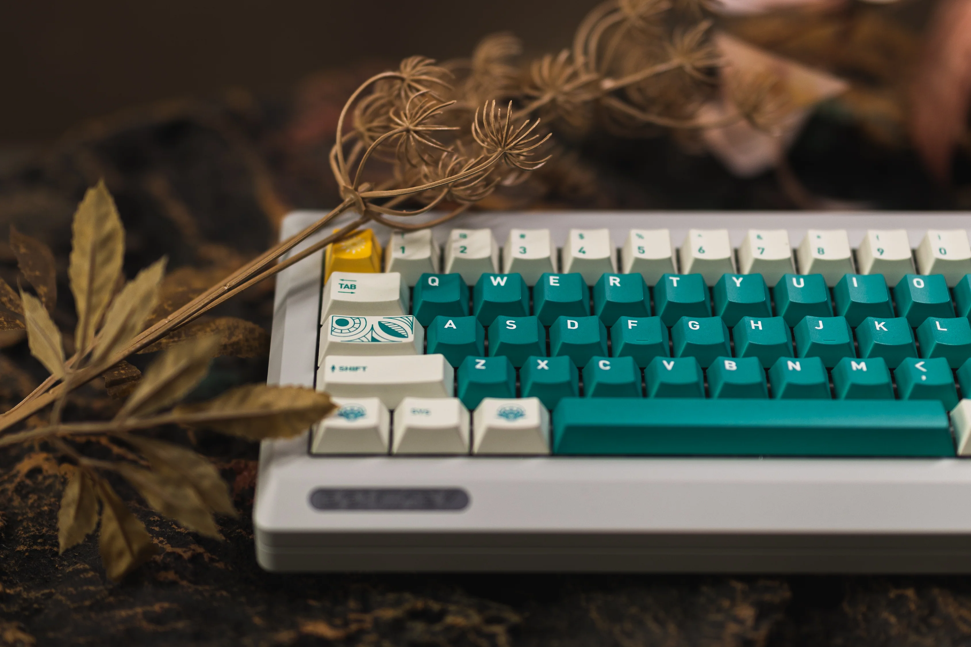 [In Stock] Rainforest PBT by point.works - Image 4